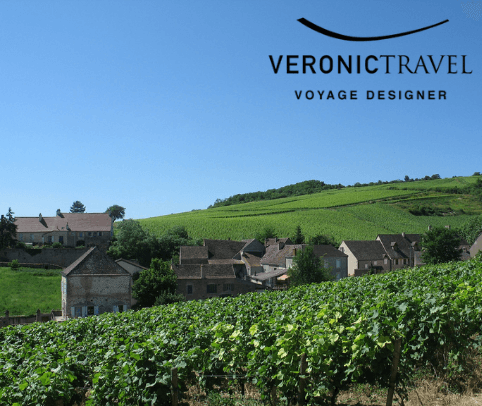 Virtual Trip to France - Visit Burgundy!